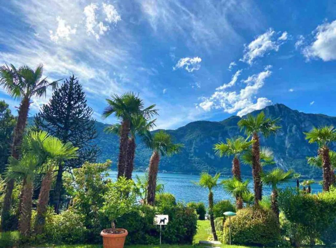Bellavista Apartment Bissone Εξωτερικό φωτογραφία